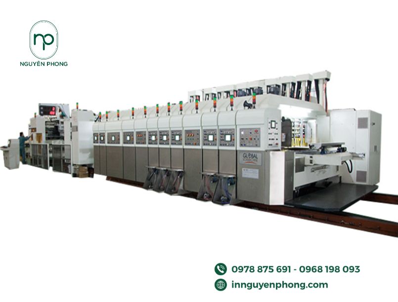 flexo-2-mau-17